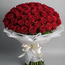 Букет 101 Красная роза Блэк Мэджик в Хомутово Иркутская область