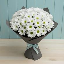 Букет цветов из:  Хризантемы в Хомутово Иркутская область