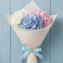 Букет цветов из:  Гортензия #REPLACE_PRED# Хомутово Иркутская область