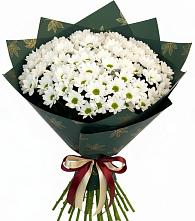 Букет цветов из:  Хризантемы в Хомутово Иркутская область