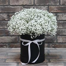 Цветочная композиция из Гипсофила в шляпной коробке в Хомутово Иркутская область