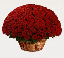 Премиум букет из: Розы #REPLACE_PRED# Хомутово Иркутская область