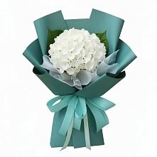 Букет цветов из:  Гортензия #REPLACE_PRED# Хомутово Иркутская область